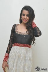 Diksha Panth at Gopala Gopala Movie Audio Launch